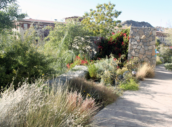 Arroyo Garden