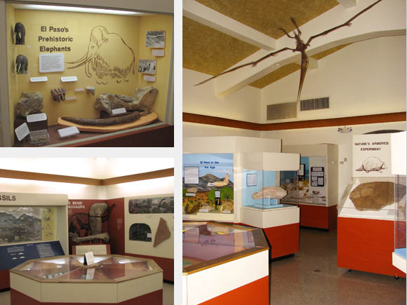 The Centennial Museum contains an interesting collection of fossils from the local area